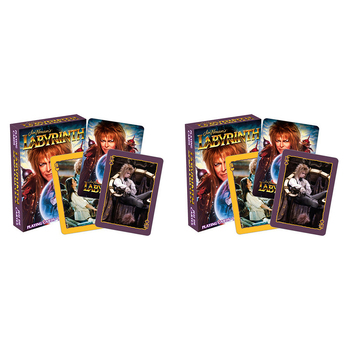 108pc Aquarius Labyrinth Playing Cards Family Party Game 14y+