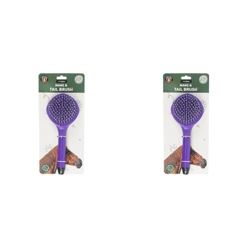 2PK Dudley's World Of Pets Horse Care Mane & Tail Brush