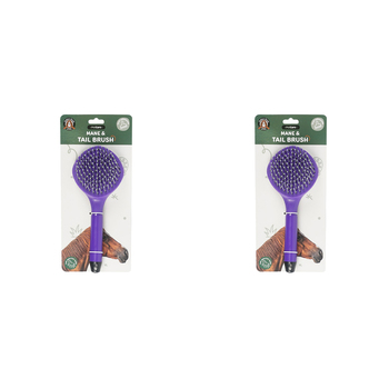 2PK Dudley's World Of Pets Horse Care Mane & Tail Brush