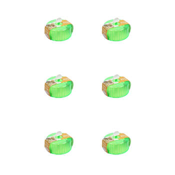 6PK Dudley's World Of Pets Medium Pet Exercise Wheel Green