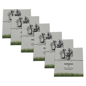 6PK Bramble Bay Pet Kitchen Coaster Dachshund Dog Lover Gift 11x11cm