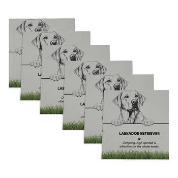 6PK Bramble Bay Pet Kitchen Coaster Labrador Retriever Dog Lover Gift 11x11cm