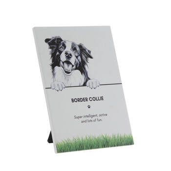 Bramble Bay Pet Wall Plaque Border Collie Dog Lovers Gift 16.5x21cm
