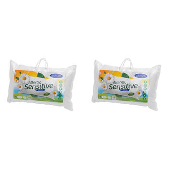 2PK Jason Firm Allergy Sensitive Washable Pillow - White
