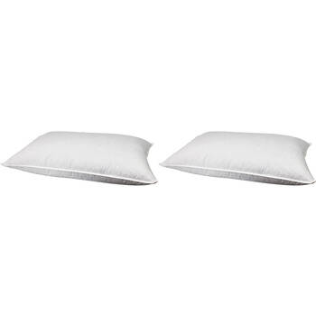 2PK Jason Commercial Feather & Down Bedroom Sleeping Pillow 48x73cm