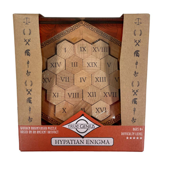 Project Genius Hypatian Enigma Problem Solving Adult Puzzle 8+