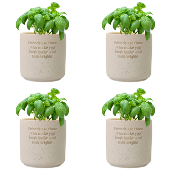 4PK Splosh Friends Positive Small Ceramic Pot Home Decor 10cm - Beige