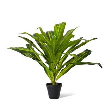 E Style 65cm Dracaena Potted Artificial Plant Decor - Green