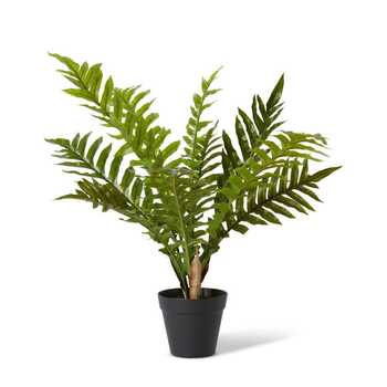 E Style 66cm Fern Hares Foot Potted Artificial Plant Decor - Green