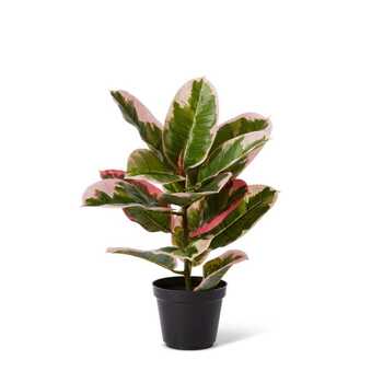 E Style 40cm Rubber Artificial Potted Plant - Green/Pink