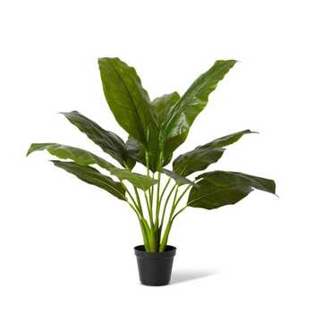 E Style 64cm Spathiphyllum Potted Artificial Plant Decor - Green