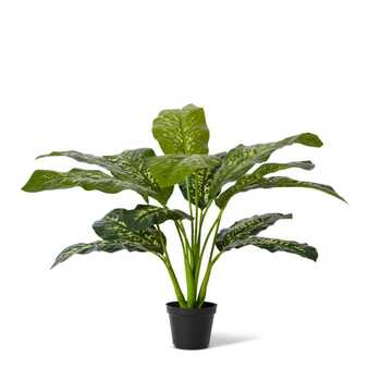 E Style 64cm Dieffenbachia Potted Artificial Plant Decor - Green