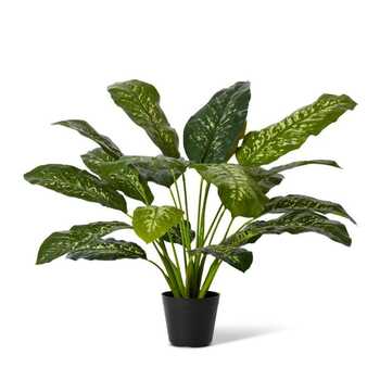 E Style 80cm Dieffenbachia Potted Artificial Plant Decor - Green