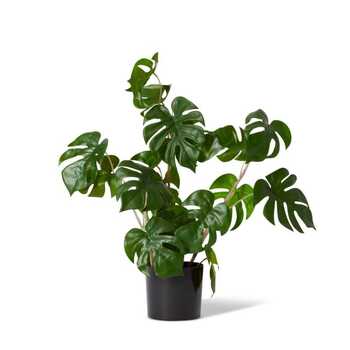 E Style 56cm Monstera Wild Artificial Potted Plant - Green