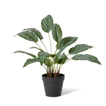 E Style 54cm Ctenanthe Artificial Potted Plant Decor