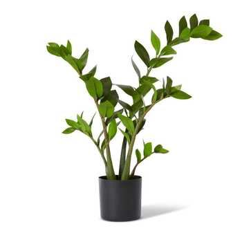 E Style 70cm Zanzibar Potted Artificial Plant Decor - Green