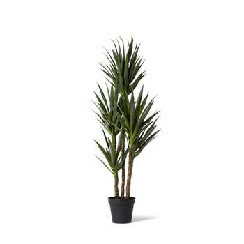E Style 152cm Dracaena Spikey Potted Artificial Plant Decor - Green