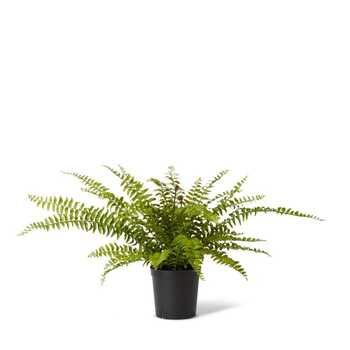 E Style 61cm Fern Lush Boston Potted Artificial Plant Decor - Green