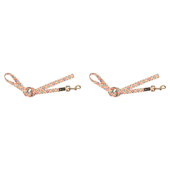 2PK Eco-Pup Dog Walking Lead/Leash 120cm Narrow 20mm Check 