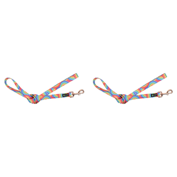 2PK Eco-Pup Dog Walking Lead/Leash 120cm Narrow 20mm Rainbow 