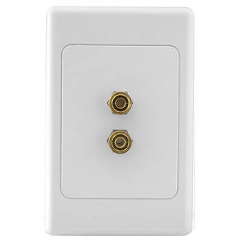 1 way 2 Terminal Speaker Wall Plate