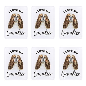 6PK Splosh Pet Lovers Cavalier Acrylic Magnet Decor 7x5cm