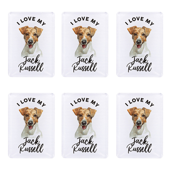 6PK Splosh Pet Lovers Jack Russell 7cm Acrylic Magnet Fridge Decor - White