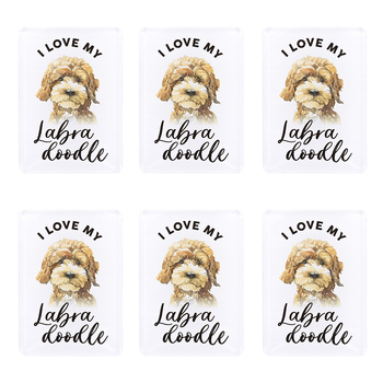 6PK Splosh Pet Lovers Labradoodle 7cm Acrylic Magnet Fridge Decor - White