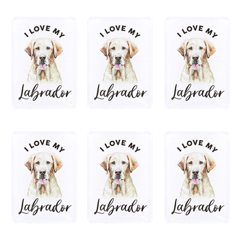 6PK Splosh Pet Lovers Labrador  7cm Acrylic Magnet Fridge Decor - White