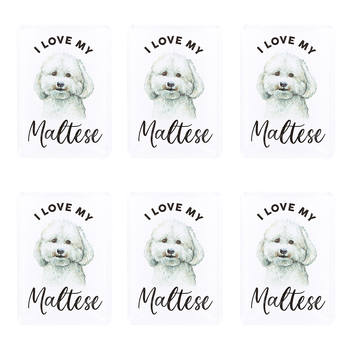 6PK Splosh Pet Lovers Maltese 7cm Acrylic Magnet Fridge Decor - White