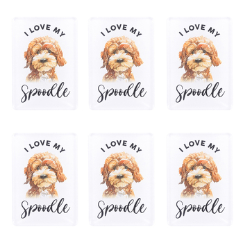 6PK Splosh Pet Lovers Spoodle 7cm Acrylic Magnet Fridge Decor - White