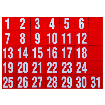 31PK Quartet Magnetic Dates Holder Set For Document/Photos - Red