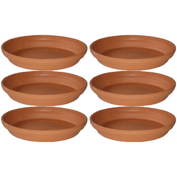 6PK Homeleisure Replicotta Round Saucer 195mm Garden 