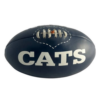 Regent 12in Midi Football Geelong Cats Soft Touch Indoor/Outdoor Game