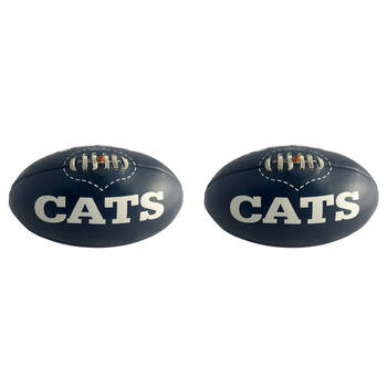 2PK Regent 12in Midi Football Geelong Cats Soft Touch Indoor/Outdoor Game