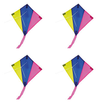 4PK Brookite Shadow Mini Flyers Outdoor Flying Sports Kite Assorted 4y+