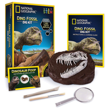 National Geographic Dino Fossil Dig Kit Kids Activity Toy 8+