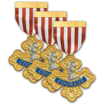 3PK Wizard Of Oz Cowardly Lion's Badge Of Courage Costume Prop/Accessory