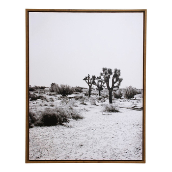 LVD Framed Canvas/Resin 70x90cm Joshua Tree Wall Hanging Art