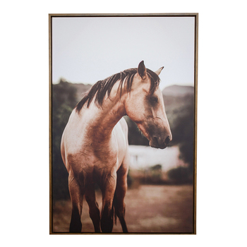 LVD Framed Canvas/Pine 80x120cm Brumby Wall Hanging Art