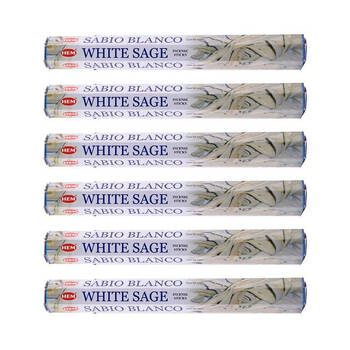 6x 20pc HEM Hexa White Sage Scent Incense Sticks Meditation Fragrance