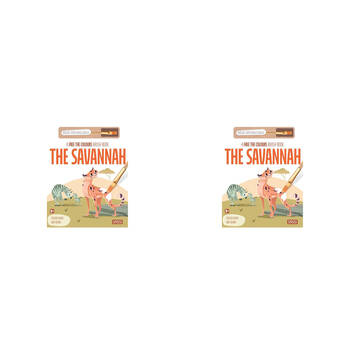 2PK Sassi Free the Colours Reusable Paint Brush Book - The Savannah 3y+