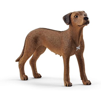 Schleich 2.6'' Rhodesian Ridgeback Animal Action Figure Kids Toy 3-8y