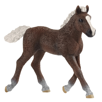 Schleich 3.2'' Black Forest Foal Animal Action Figure Kids Toy 3-8y