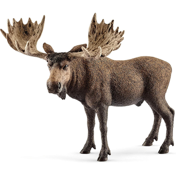 Schleich Moose Bull Animal Action Figure Kids Toy 3+