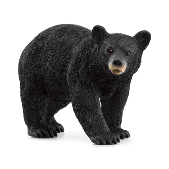 Schleich 4.6'' American Black Bear Animal Action Figure Kids Toy 3-8y