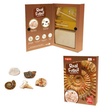 Magnoidz Fossil Dig Kit