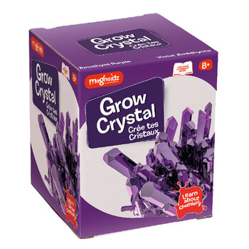 Magnoidz Small Crystal Growing Kit 10cm Assorted