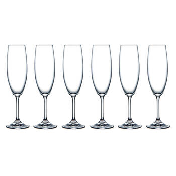 6pc Krystal Sienna Stemware SIN220 Champagne Flute 220ml Clear
