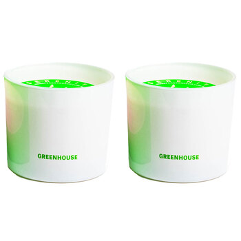 2PK Serenity Hidden Message Main Character Energy Candle - Greenhouse 250g